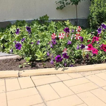 Aqua Blue * Sunny Beach